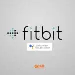 fitbit google assistant integration