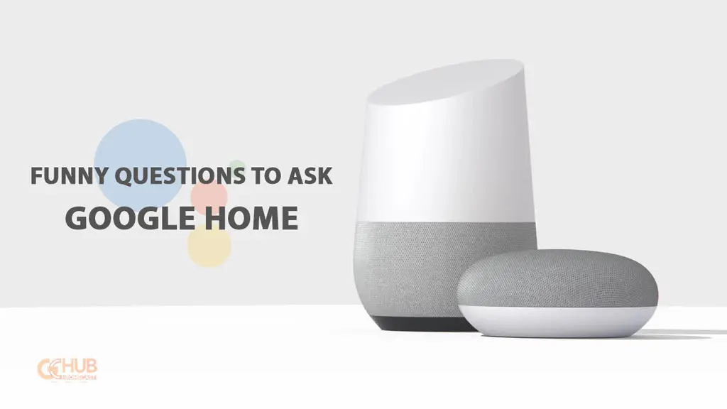 funny questions to ask google home