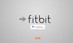fitbit google assistant integration