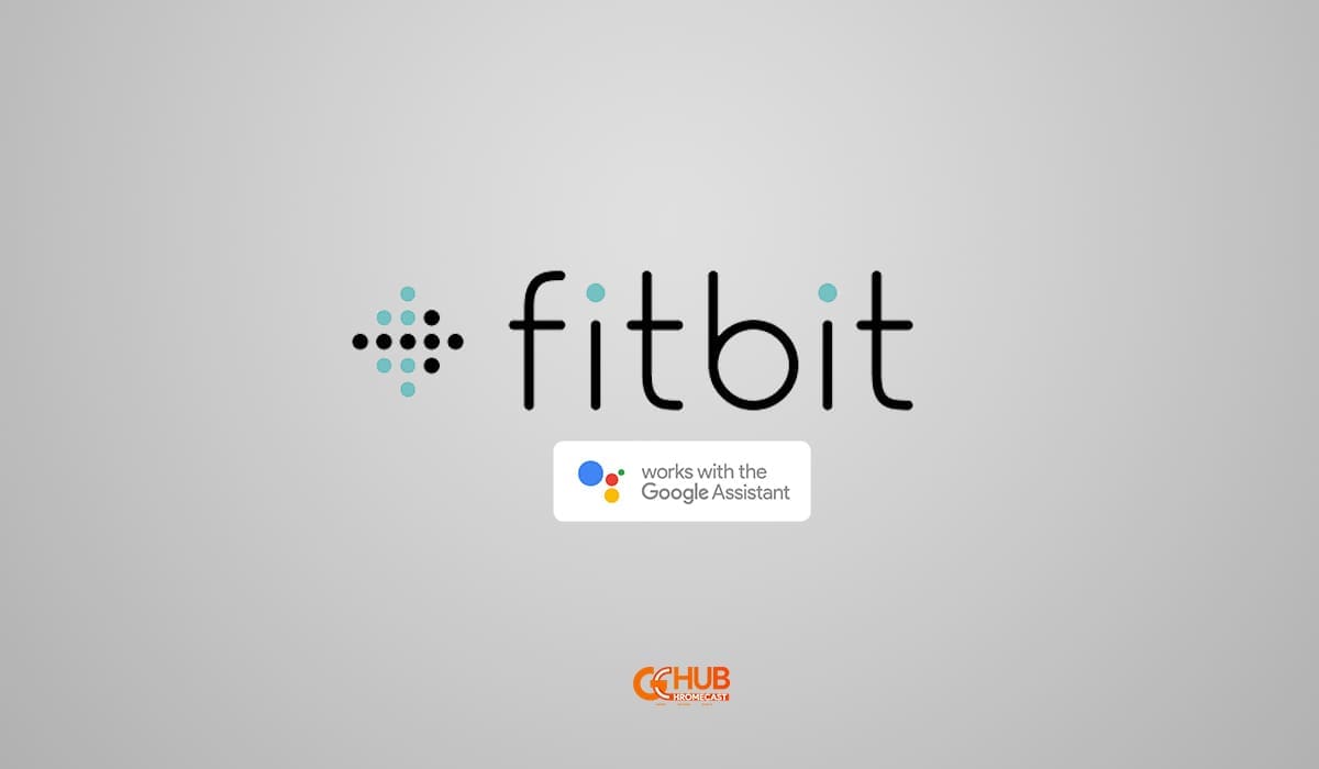 How To Link Fitbit With Google Assistant Google Chromecast