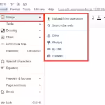 Insert an Image in Google Docs
