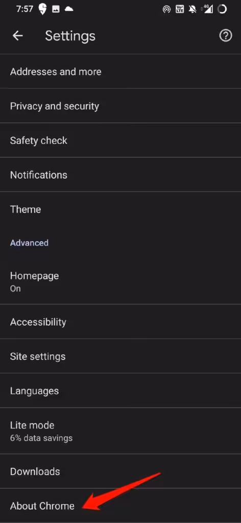 go to About Chrome