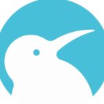 Kiwi browser