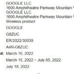 google's unknown 'wireless product' - g6zuc appears on fcc