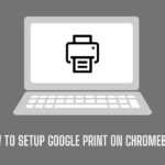 how to set up google print on chromebook