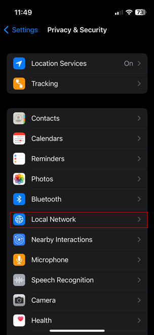 local network option in iphone settings