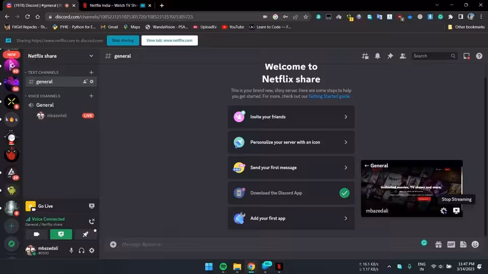 How to screen share Netflix on Discord